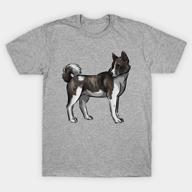 Akita shirts hotsell